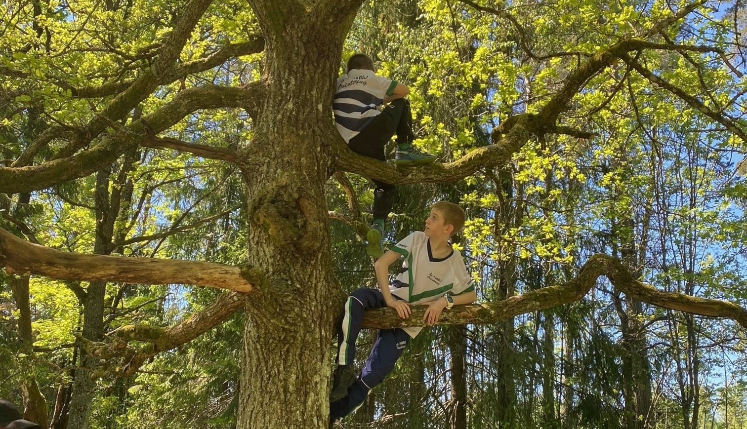 ...